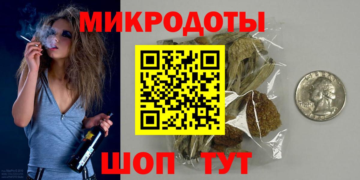 Псилоцибиновые грибы Psilocybine cubensis Конаково